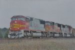 BNSF 8279 West